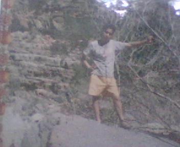 moha de baradis